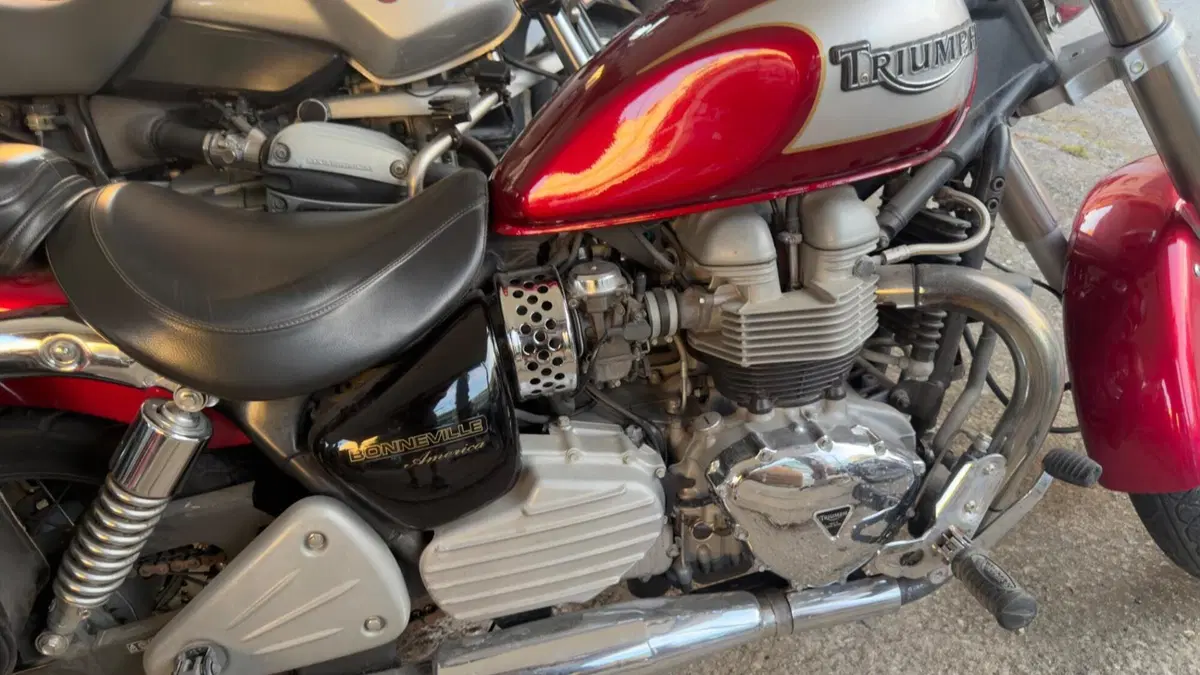 Triumph Bonneville 800 America (2001 - 07)  (4)