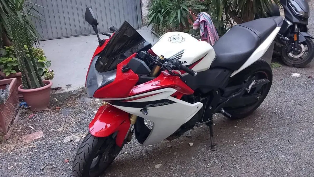 Honda CBR 600 F (2011 - 13)  (6)