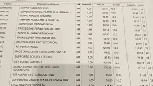 KTM 1290 Super Duke R (2019)  (14)