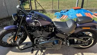 Harley-Davidson Street Bob 117 (2025 - 26)