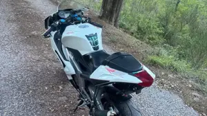 Aprilia RS 125 (2006 - 14)  (4)
