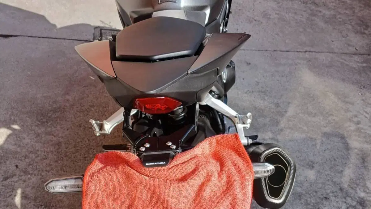 Honda CB 1000 Hornet (2025 - 26)  (4)