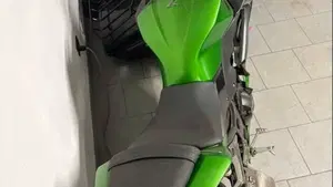 Kawasaki Z 300 ABS (2015 - 16) 