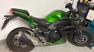 Kawasaki Z 300 ABS (2015 - 16)  (2)