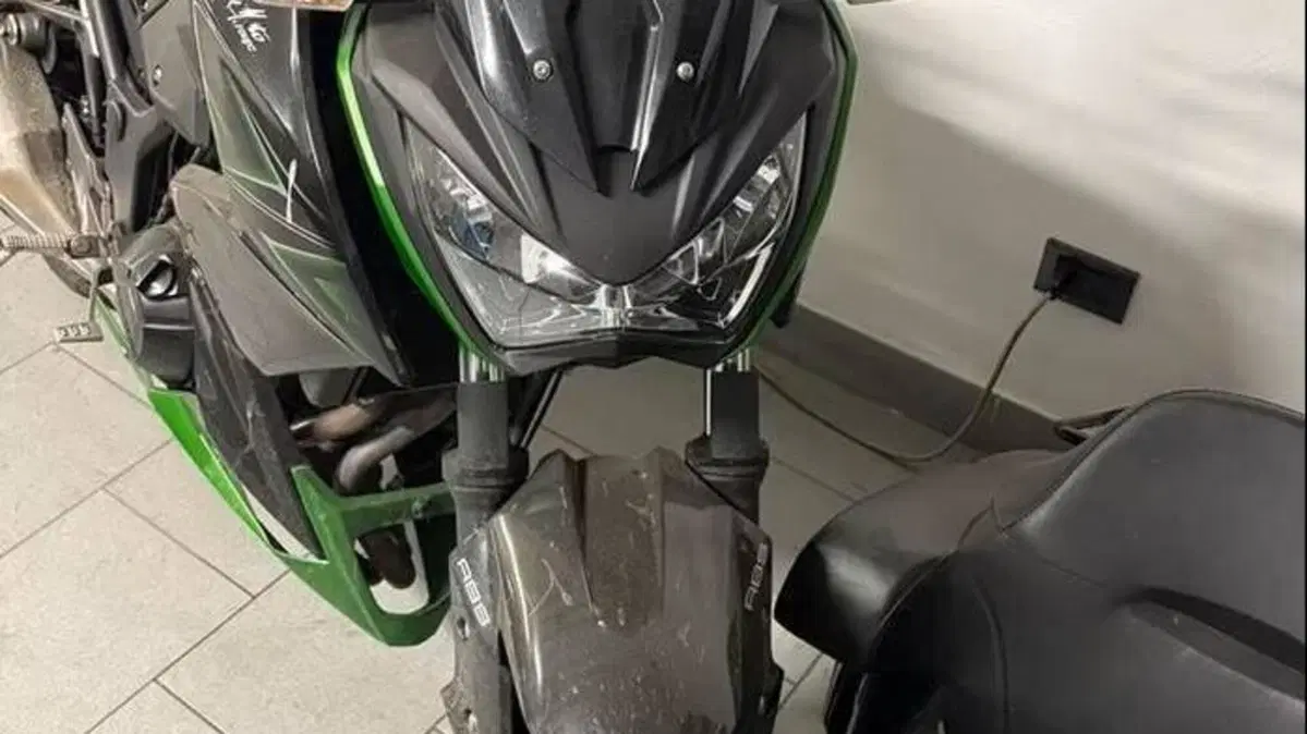 Kawasaki Z 300 ABS (2015 - 16)  (3)