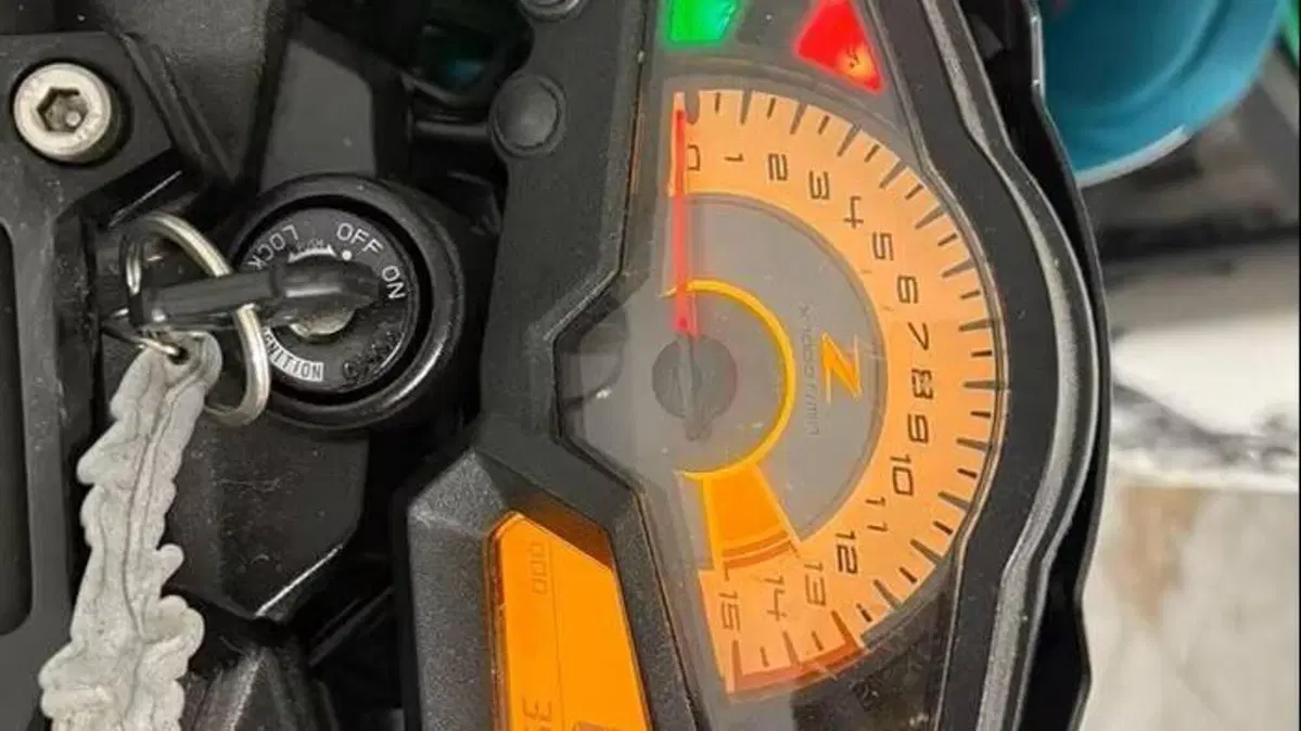 Kawasaki Z 300 ABS (2015 - 16)  (4)