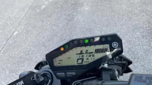 Yamaha MT-09 (2017 - 20)  (6)
