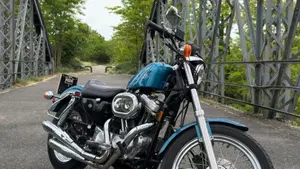 Harley-Davidson   (3)