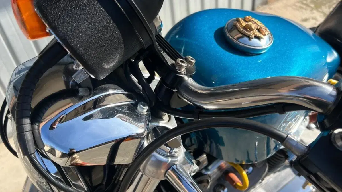Harley-Davidson   (7)