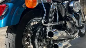 Harley-Davidson   (8)