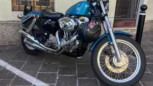 Harley-Davidson   (9)