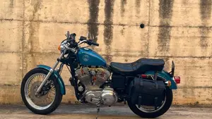 Harley-Davidson   (10)