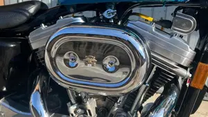 Harley-Davidson   (11)