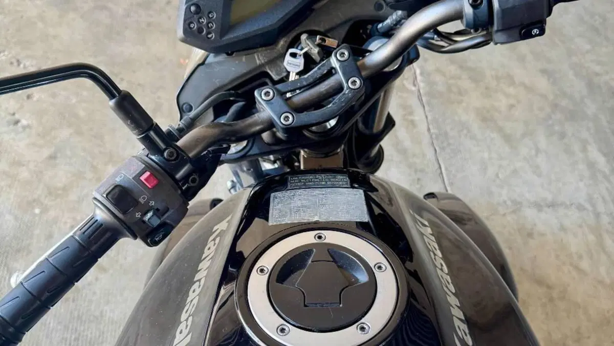 Kawasaki ER-6N (2009 - 11)  (6)