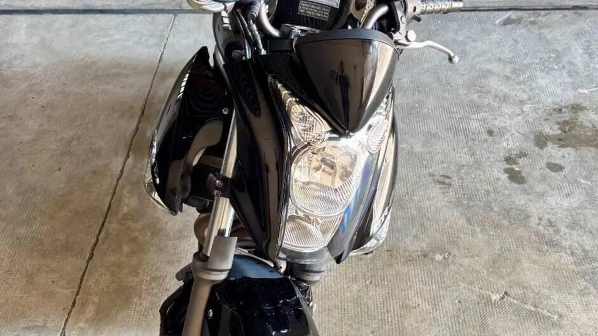 Kawasaki ER-6N (2009 - 11)  (9)