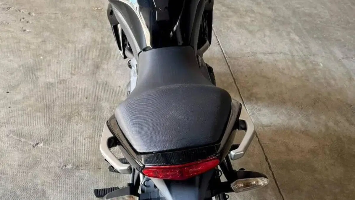 Kawasaki ER-6N (2009 - 11)  (10)