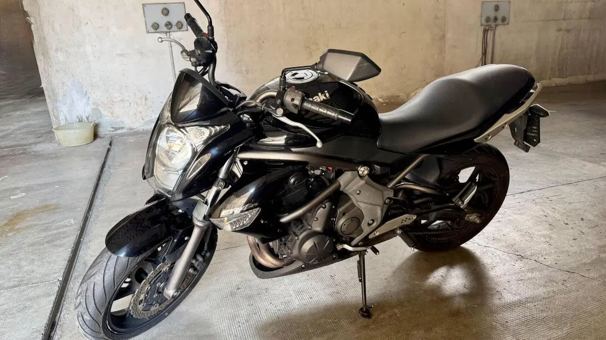 Kawasaki ER-6N (2009 - 11)  (11)