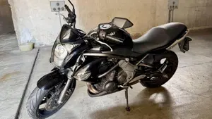 Kawasaki ER-6N (2009 - 11)  (11)