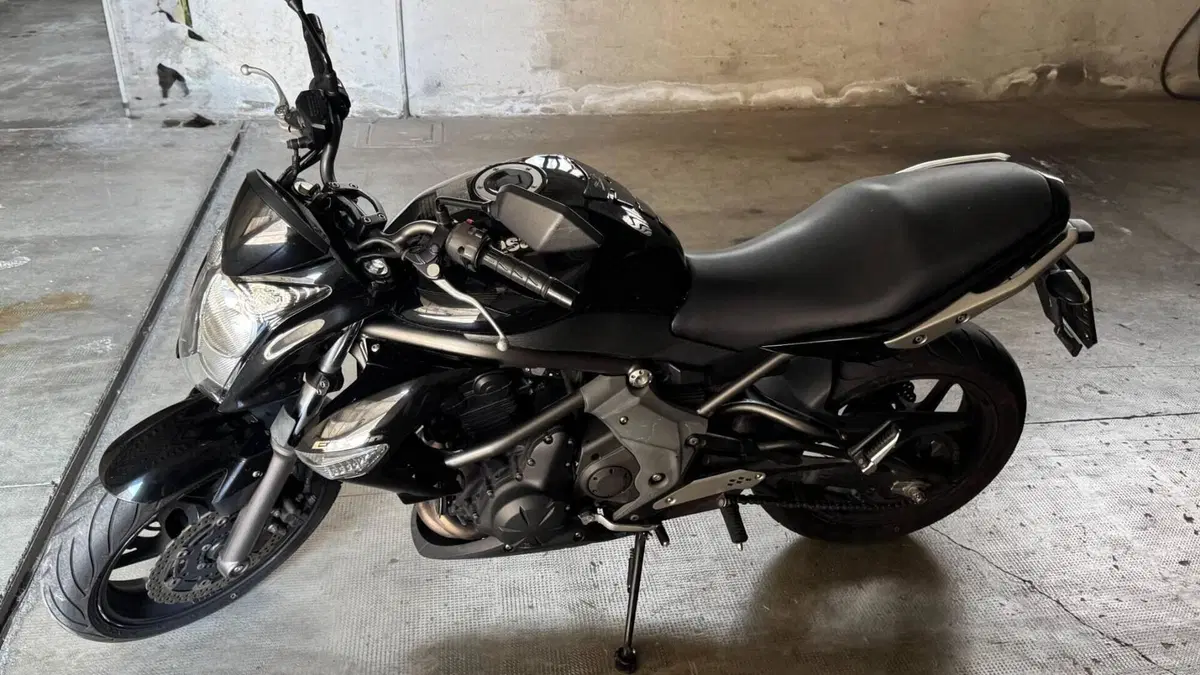 Kawasaki ER-6N (2009 - 11)  (12)