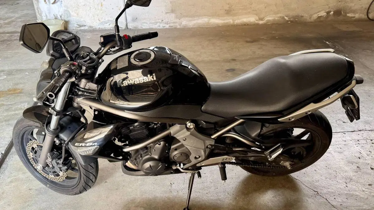 Kawasaki ER-6N (2009 - 11)  (15)