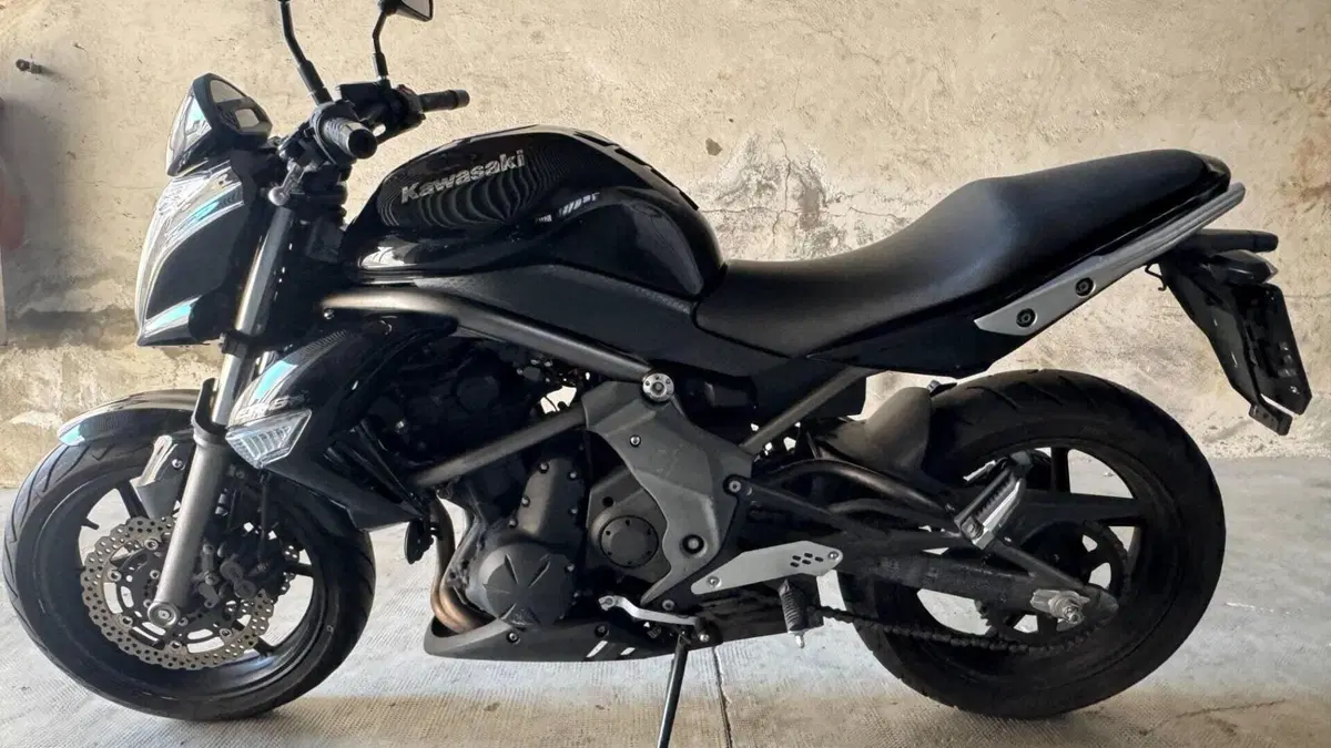 Kawasaki ER-6N (2009 - 11)  (2)