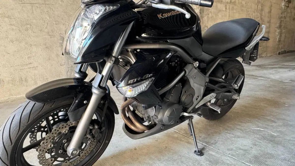 Kawasaki ER-6N (2009 - 11)  (4)