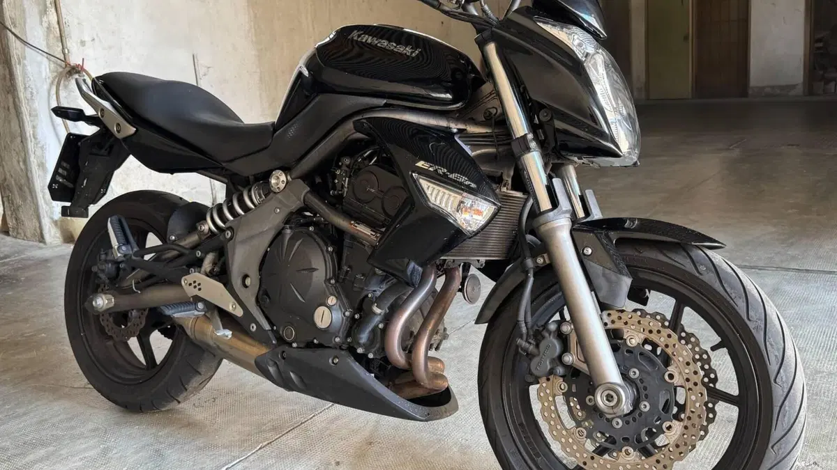 Kawasaki ER-6N (2009 - 11)  (5)