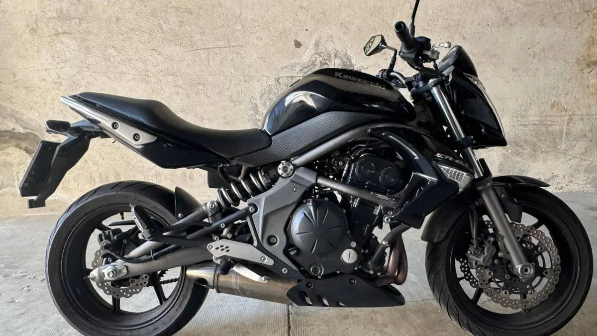 Kawasaki ER-6N (2009 - 11)  (3)