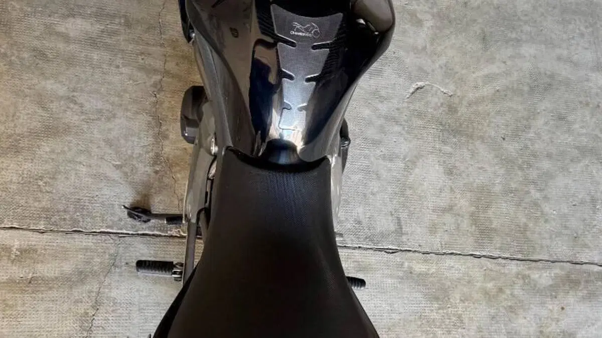 Kawasaki ER-6N (2009 - 11)  (8)