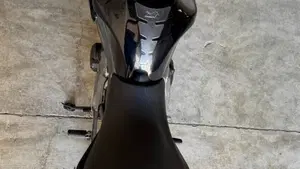 Kawasaki ER-6N (2009 - 11)  (8)