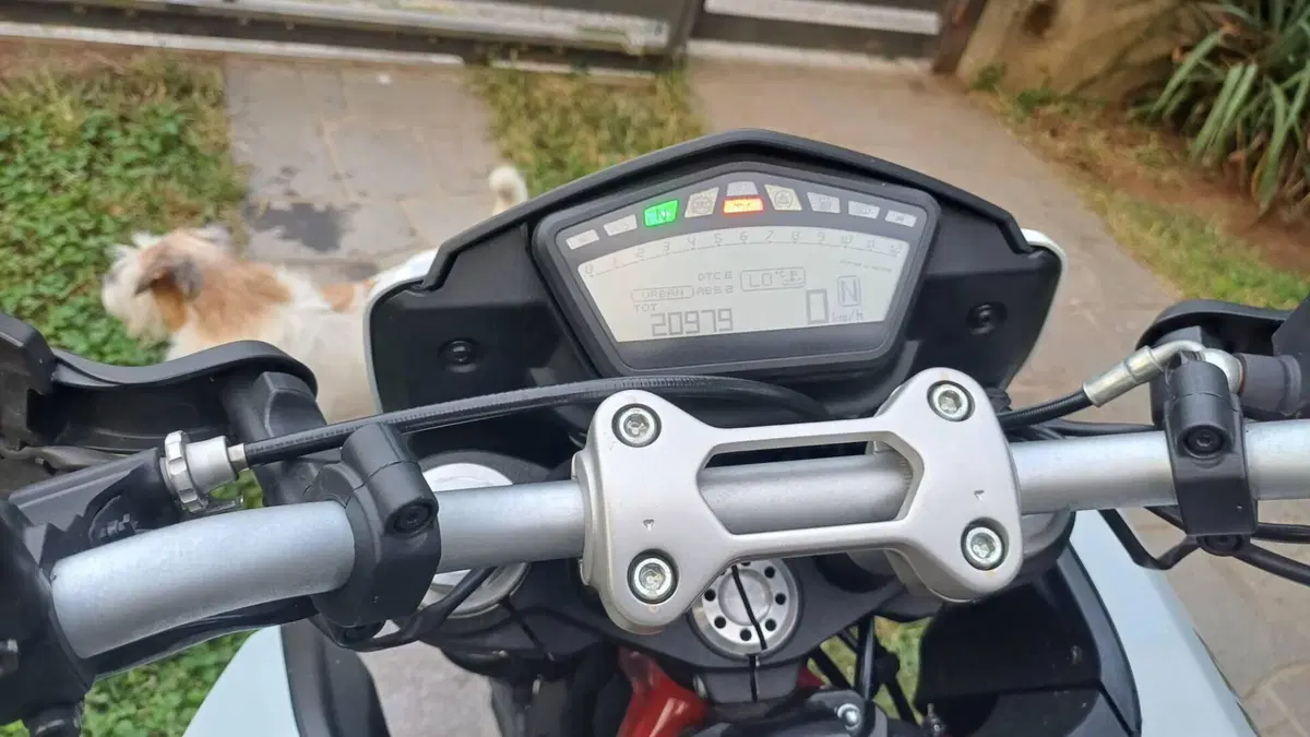 Ducati Hypermotard 939 (2016 - 18)  (5)