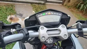 Ducati Hypermotard 939 (2016 - 18)  (5)