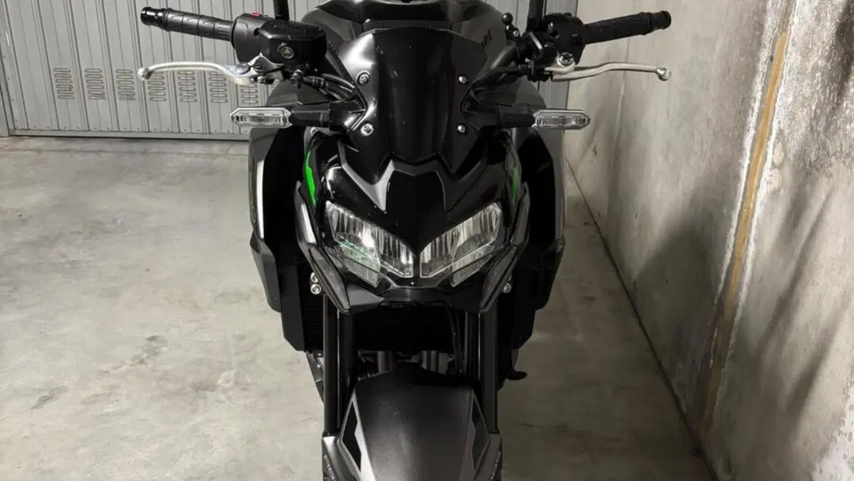 Kawasaki Z 900 (2021 - 24)  (4)