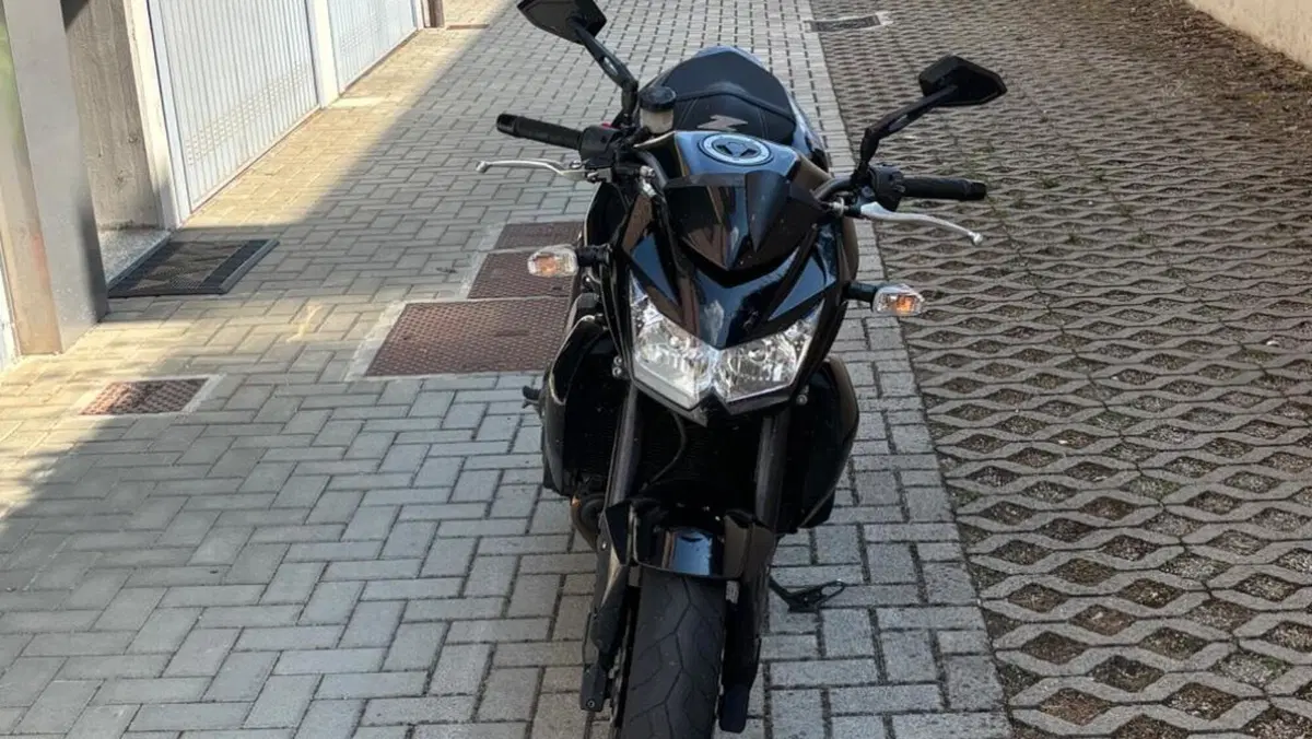 Kawasaki Z 750 (2007 - 14)  (2)