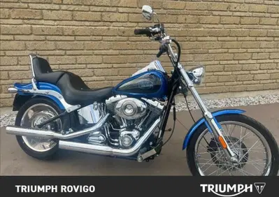 Harley-Davidson 1584 Custom (2007) - FXSTC - Annuncio 10113425