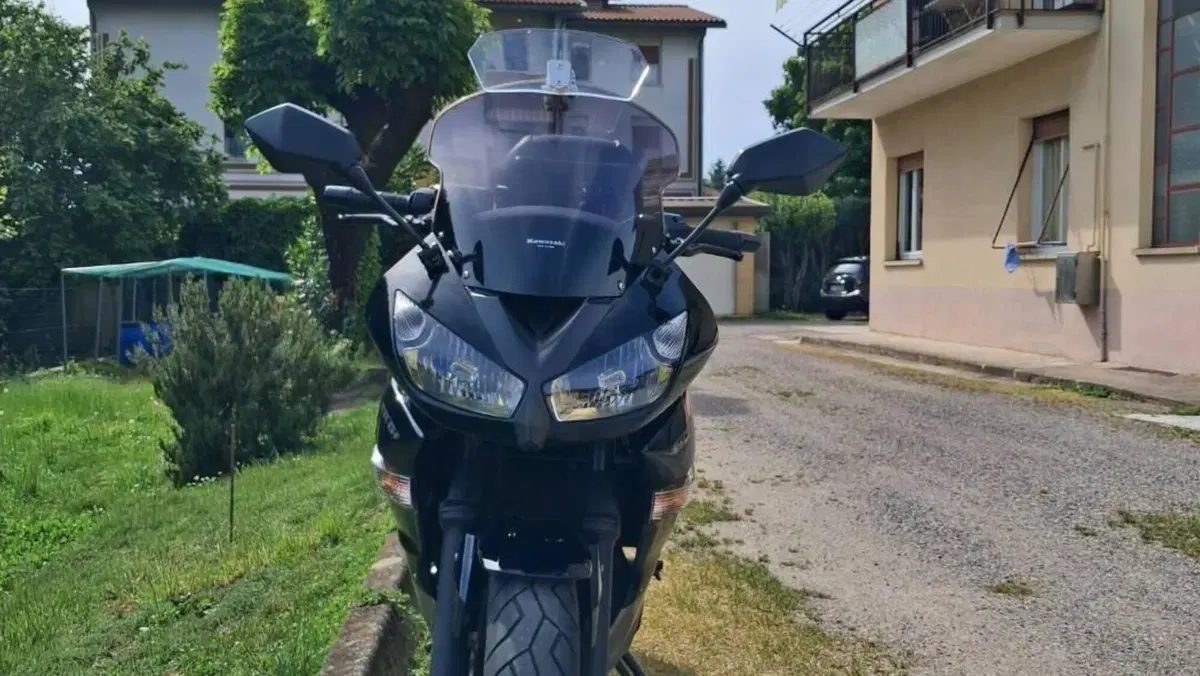 Kawasaki ER-6F (2009 - 11)  (4)