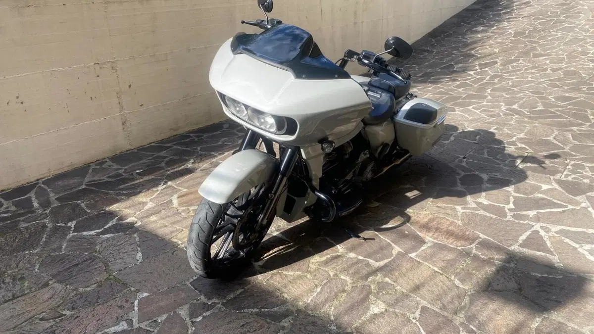 Harley-Davidson 117 Road Glide (2020)  (6)