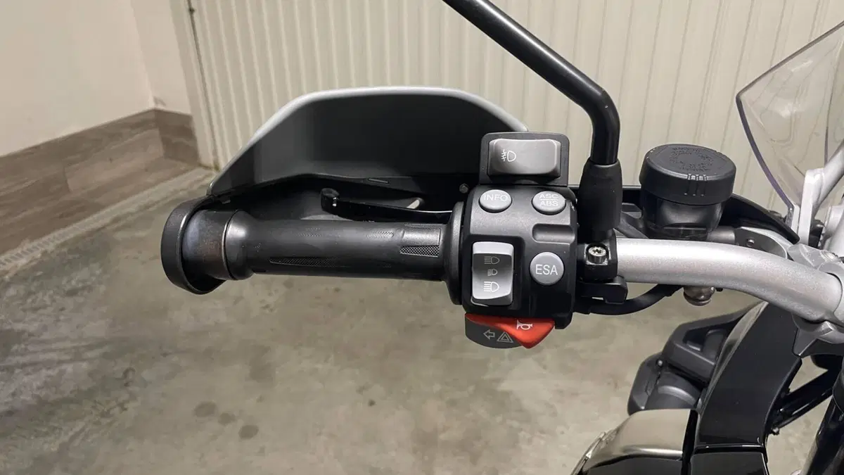 Bmw R 1200 GS (2010 - 12)  (4)