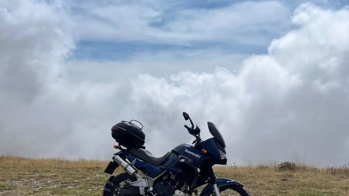 Kawasaki KLE 500 (2005 - 06) 