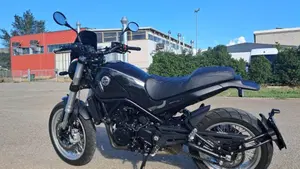 Benelli Leoncino 500 Trail (2021 - 26)  (5)