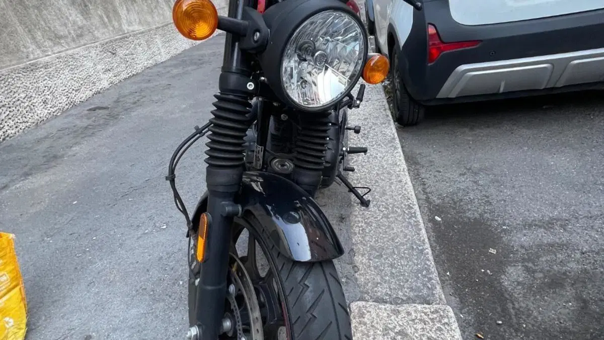 Royal Enfield HNTR 350 (2022 - 26)  (3)