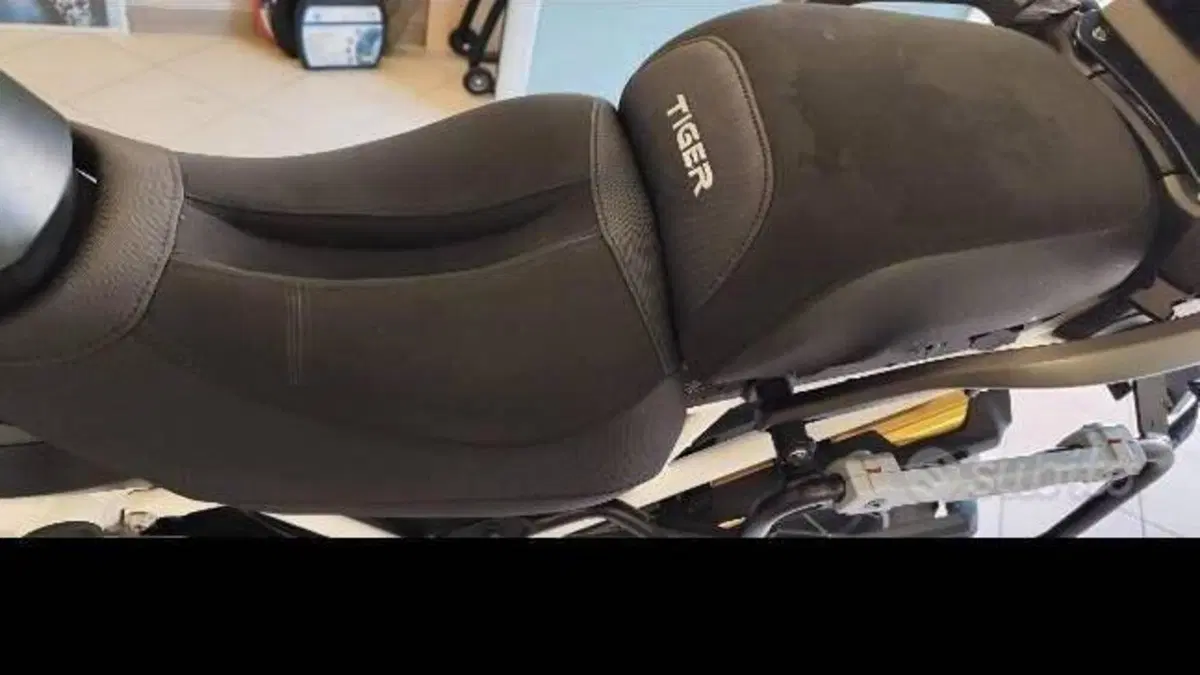 Triumph Tiger 1200 Rally Pro (2022 - 23)  (4)