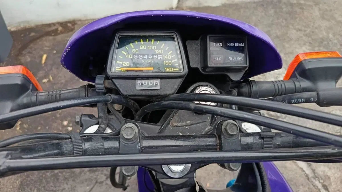 Yamaha   (6)