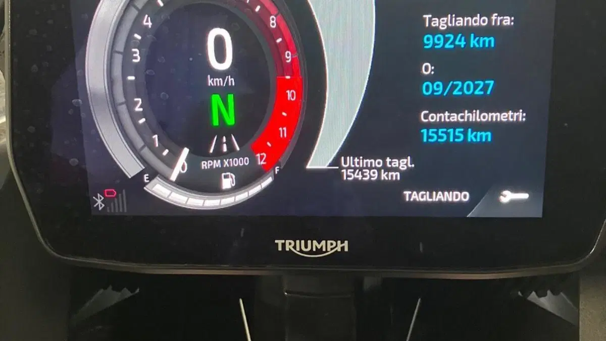 Triumph Tiger 900 Rally Pro (2024 - 26)  (14)