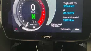 Triumph Tiger 900 Rally Pro (2024 - 26)  (14)