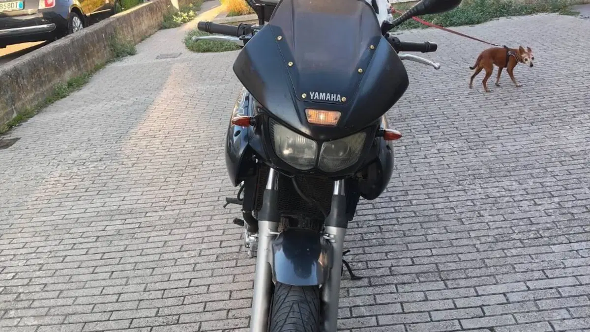 Yamaha TDM 850 (1996 - 01)  (4)