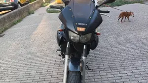 Yamaha TDM 850 (1996 - 01)  (4)