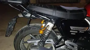 Triumph Speed Twin 1200 (2019 - 20)  (4)