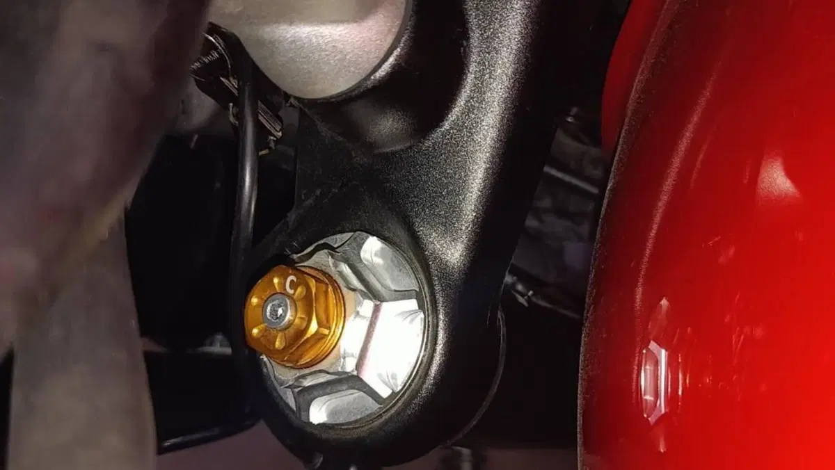 Triumph Speed Twin 1200 (2019 - 20)  (5)