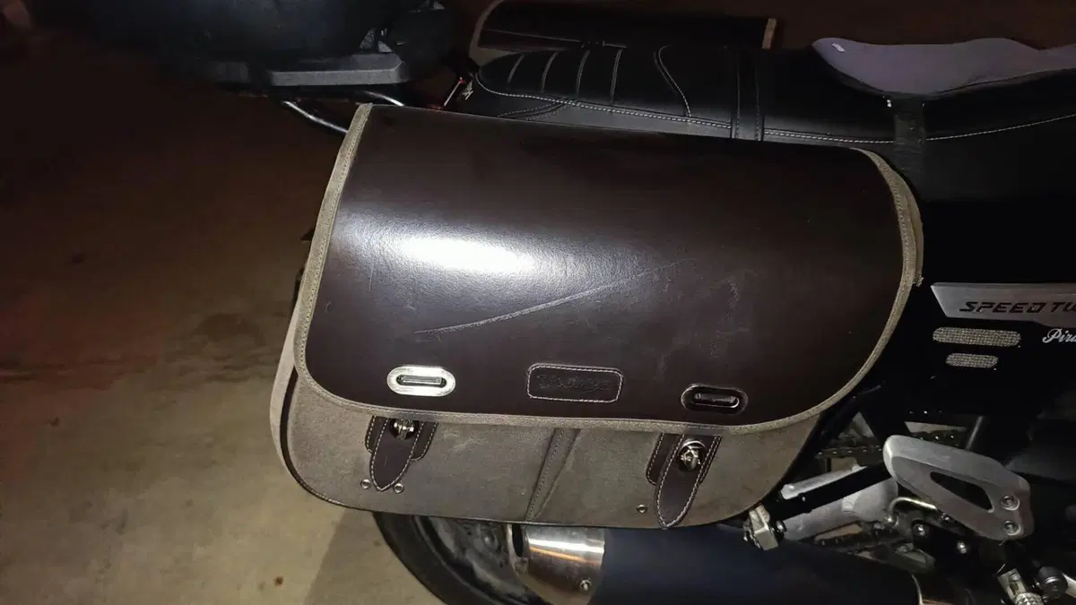 Triumph Speed Twin 1200 (2019 - 20)  (7)